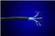 Alpha Wire 5620B2020 NC001