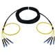 Amphenol Sachsenkabel BB03-0017-100M