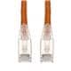Amphenol ProLabs C-11FCAT6S-OE