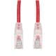 Amphenol ProLabs C-14FCAT6-RD-TAA