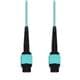 Amphenol ProLabs C-24FMPOMPO-15M5OM4P