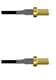 Amphenol Custom Cable Q-2V02V0003084i