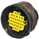 Aptiv (formerly Delphi) 33503444