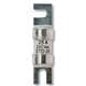 Bussmann / Eaton DEO160