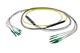 Pasternack PE3FCA384-10M