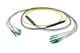 Pasternack PE3FCA384-25M