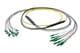 Pasternack PE3FCA452-10M