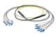 Pasternack PE3FCA455-25M