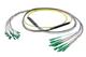 Pasternack PE3FCA458-5M