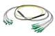 Pasternack PE3FCA462-30M