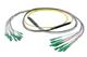Pasternack PE3FCA464-30M