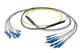 Pasternack PE3FCA465-10M