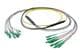 Pasternack PE3FCA466-10M