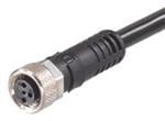 Molex Brad M8 und M12 Kabelsätze