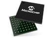 SAM R34 LoRa®-Sub-GHz-System-in-Package-Produktfamilie