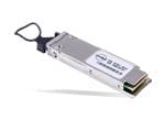 Molex zQSFP+ Loopback-Adapter