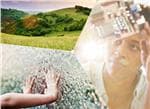 Infineon Technologies e-Power-Lösungen