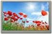 Optisch verklebte Touchscreen-Displays