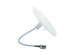 TE Connectivity iDAS CBRS-Antennen