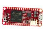 Crowd Supply Giant Board