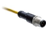 Amphenol LTW M12 Metrische D-kodierte Rundsteckverbinder