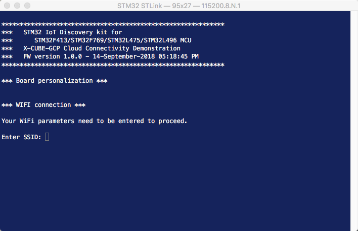 Serial Console Output During Initial Application Execution