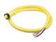 Molex 1300061171
