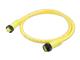 Molex 1300101259
