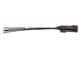 Molex 216288-1041